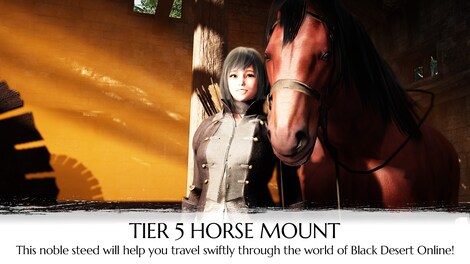 Black Desert Online - Explorer's Package Upgrade Steam Gift GLOBAL - 6