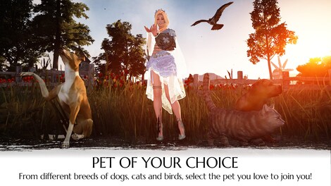 Black Desert Online - Traveler's Package Steam Gift NORTH AMERICA - 4