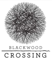 Blackwood Crossing (Xbox One) - Xbox Live Key - UNITED STATES - 1