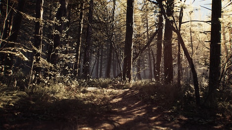 Blair Witch (Xbox One, PC) - Xbox Live Account - GLOBAL - 5