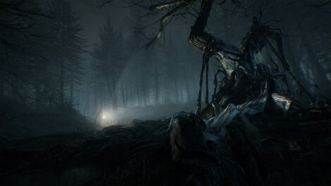 Blair Witch (Xbox One, PC) - Xbox Live Account - GLOBAL - 6