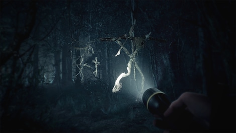 Blair Witch (Xbox One, Windows 10) - Xbox Live Key - ARGENTINA - 2