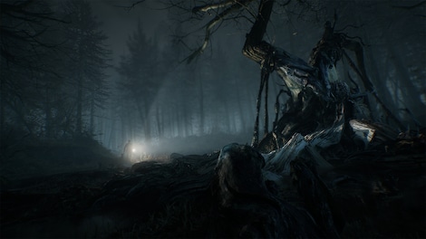 Blair Witch (Xbox One, Windows 10) - Xbox Live Key - ARGENTINA - 5