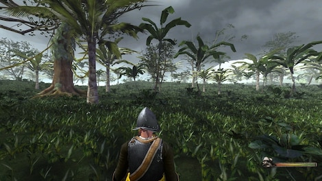 Blood and Gold: Caribbean! Steam Gift EUROPE - 13