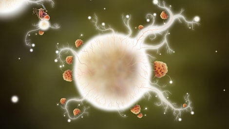 Botanicula Steam Key GLOBAL - 10