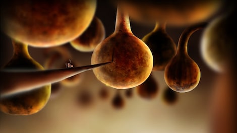 Botanicula Steam Key GLOBAL - 3