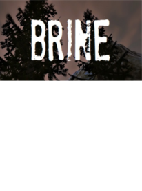 Brine Steam Key GLOBAL - 1