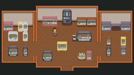 Bug & Seek (PC) - Steam Key - GLOBAL - 4