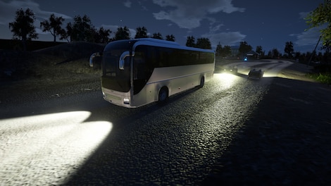 Bus Driver Simulator 2019 Steam Key GLOBAL - 14