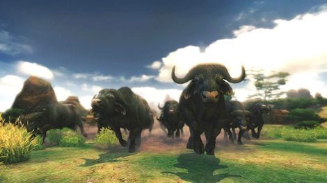 Cabela's African Adventures Steam Key GLOBAL - 4