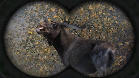 Cabela's Big Game Hunter Pro Hunts Steam Key GLOBAL - 5