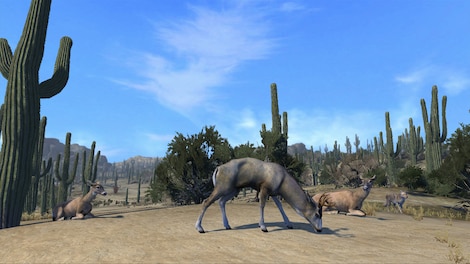 Cabela's Big Game Hunter Pro Hunts Steam Key GLOBAL - 3