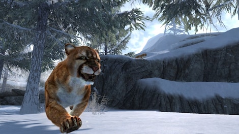 Cabela's Dangerous Hunts (2013) (PC) - Steam Key - GLOBAL - 13