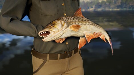 Call of the Wild: The Angler - South Africa Reserve (PC) - Steam Gift - GLOBAL - 5