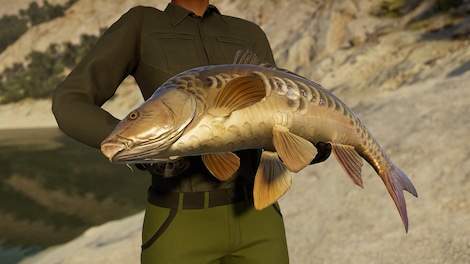 Call of the Wild: The Angler - Spain Reserve (PC) - Steam Key - EUROPE - 3