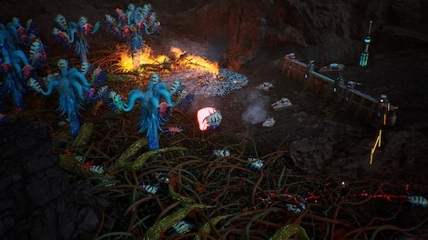 Calyx (PC) - Steam Account - GLOBAL - 8