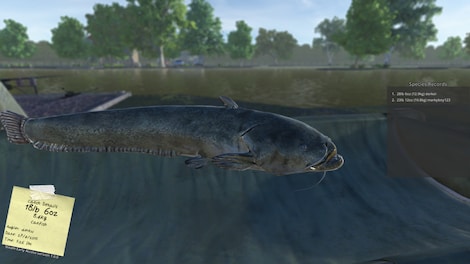 Carp Fishing Simulator Steam Gift GLOBAL - 13