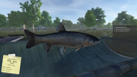 Carp Fishing Simulator Steam Gift GLOBAL - 6