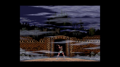 Castlevania Anniversary Collection Steam Key GLOBAL - 6