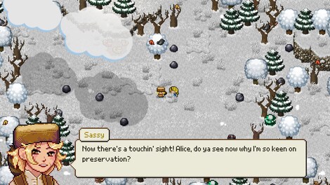 Cattle Country (PC) - Steam Key - GLOBAL - 11
