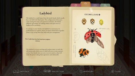 Clem (PC) - Steam Key - EUROPE - 8