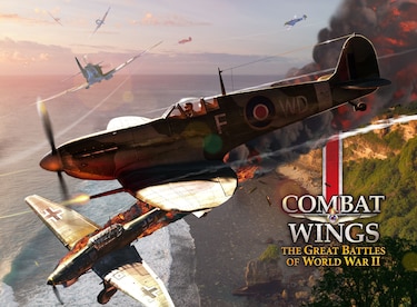 Combat Wings: The Great Battles Of World War II Steam Gift GLOBAL - 4