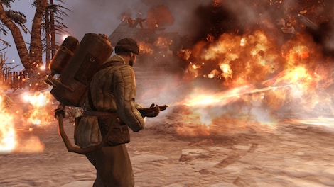 Company of Heroes 2 Steam Key CIS - 6