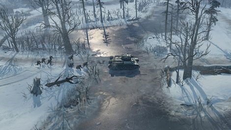 Company of Heroes 2 Steam Key CIS - 3
