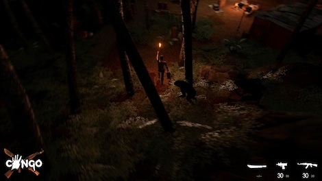 Congo Steam Gift GLOBAL - 11