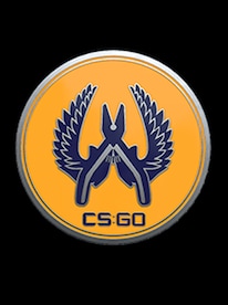 Counter-Strike: Global Offensive Guardian 2 PIN - 1