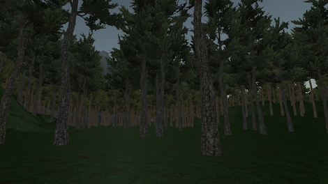 Country Park Steam Key GLOBAL - 0