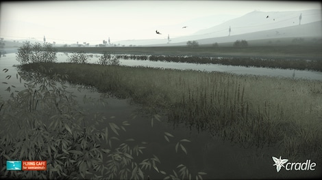 Cradle Steam Gift GLOBAL - 2