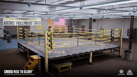Creed: Rise to Glory VR (PC) - Steam Key - GLOBAL - 5