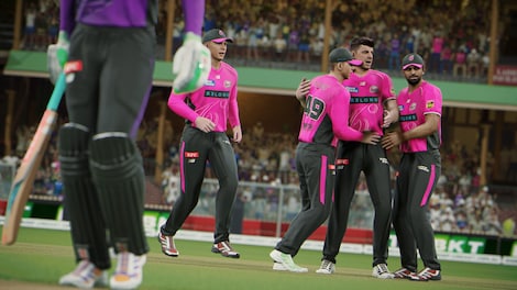 Cricket 26 (PC) - Steam Account - GLOBAL - 7