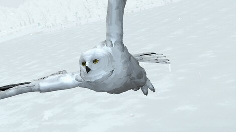 D4: Dark Dreams Don’t Die -Season One GOG.COM Key GLOBAL - 6