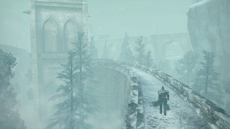 DARK SOULS II: Bundle Steam Gift RU/CIS - 18