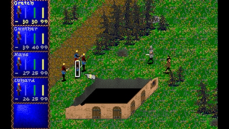 Darklands Steam Key GLOBAL - 17