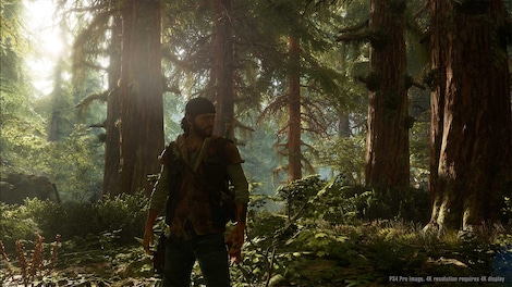 Days Gone (PC) - Epic Games Account - GLOBAL - 8