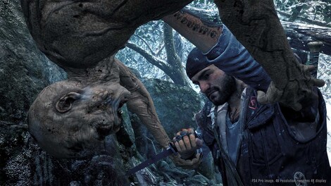 Days Gone (PC) - Steam Account - GLOBAL - 5