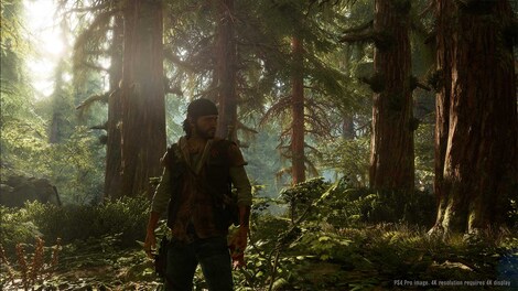 Days Gone (PC) - Steam Gift - GLOBAL - 8