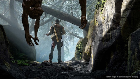 Days Gone (PC) - Steam Key - NORTH AMERICA - 9