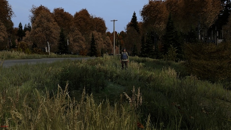 DayZ | Cool Edition (PC) - Steam Gift - EUROPE - 8