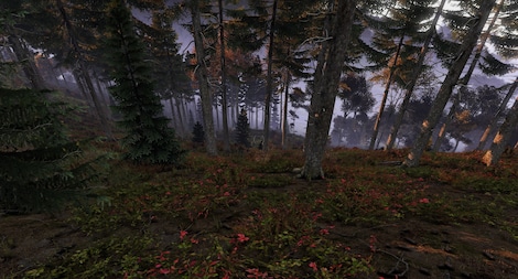 DayZ | Deluxe Edition (PC) - Steam Gift - GLOBAL - 7