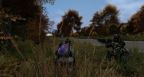 DayZ | Deluxe Edition (PC) - Steam Key - CHINA - 6