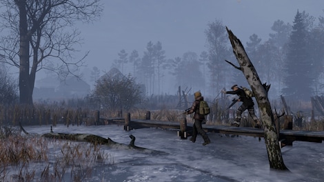 DayZ: Frostline (PC) - Steam Account - GLOBAL - 15