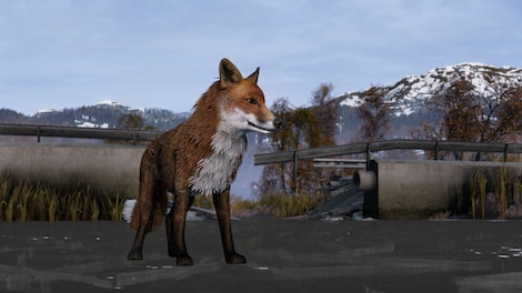 DayZ: Frostline (PC) - Steam Account - GLOBAL - 6