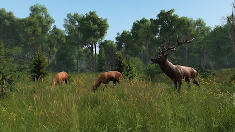 DayZ Livonia - Steam Gift - GLOBAL - 9