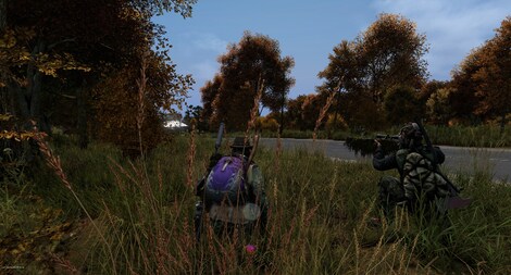 DayZ (PC) - Steam Gift - CIS - 6
