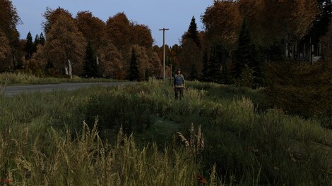 DayZ (PC) - Steam Key - CIS - 8