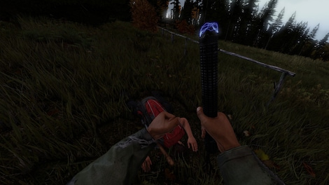 DayZ (PC) - Steam Key - EUROPE - 3
